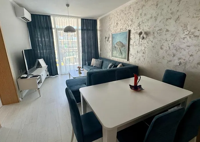 Turtle Sunny Sunny Beach