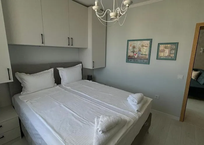 Turtle Sunny 阳光海滩