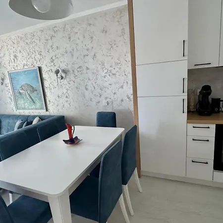 Apartment Turtle Sunny